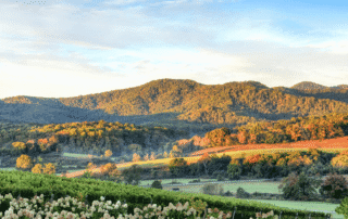 Image of Virginia countryside