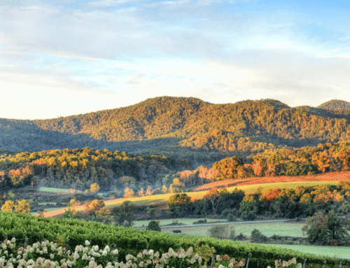 The Best Road Trips From Charlotte, North Carolina: A Hidden Mountain Getaway To Virginia’s Appalachian Mountains